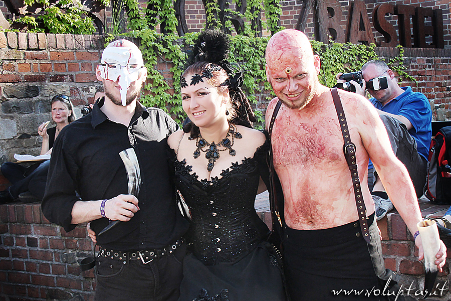 WGT 2013 1150tweb